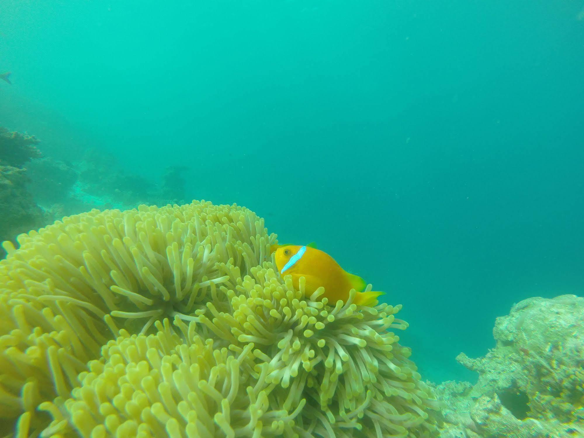 White Sand Lodge Maafushi Zewnętrze zdjęcie